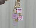 Valentine's Car Diffusers