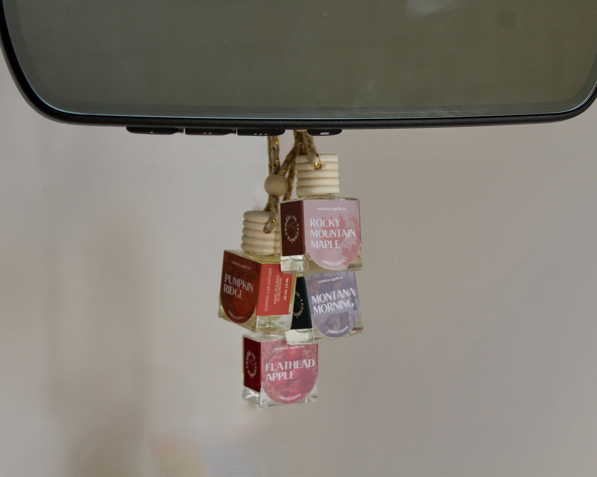 Fall Car Diffusers