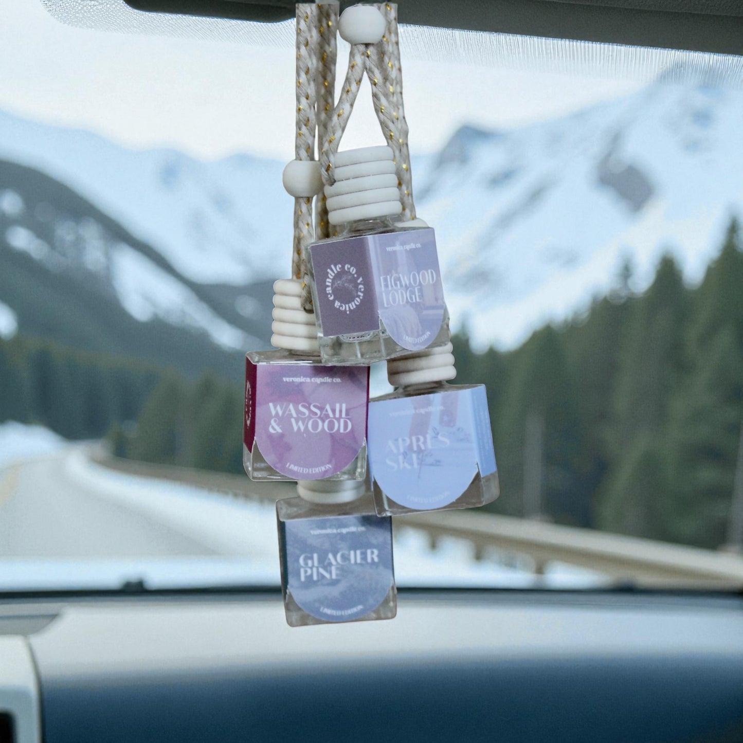 Winter Car Diffusers